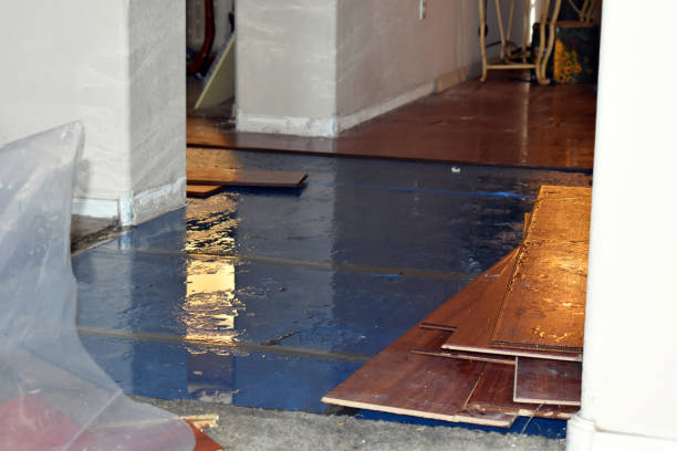 Professional Basement Flood Cleanup technician working in Sunny Side, GA